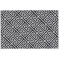 Outdoor Rug Reversible Mat Plastic Straw Rug Portable RV Camping Mat For Garden Deck Picnic Indoor, Black & White
