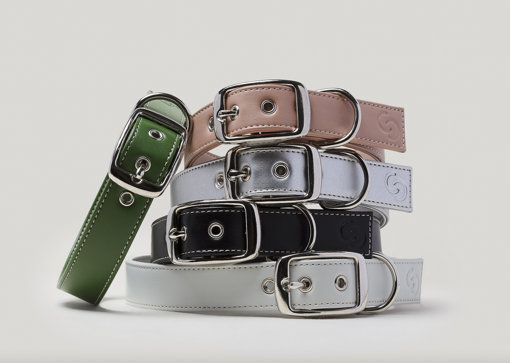 Silver apple leather dog collar
